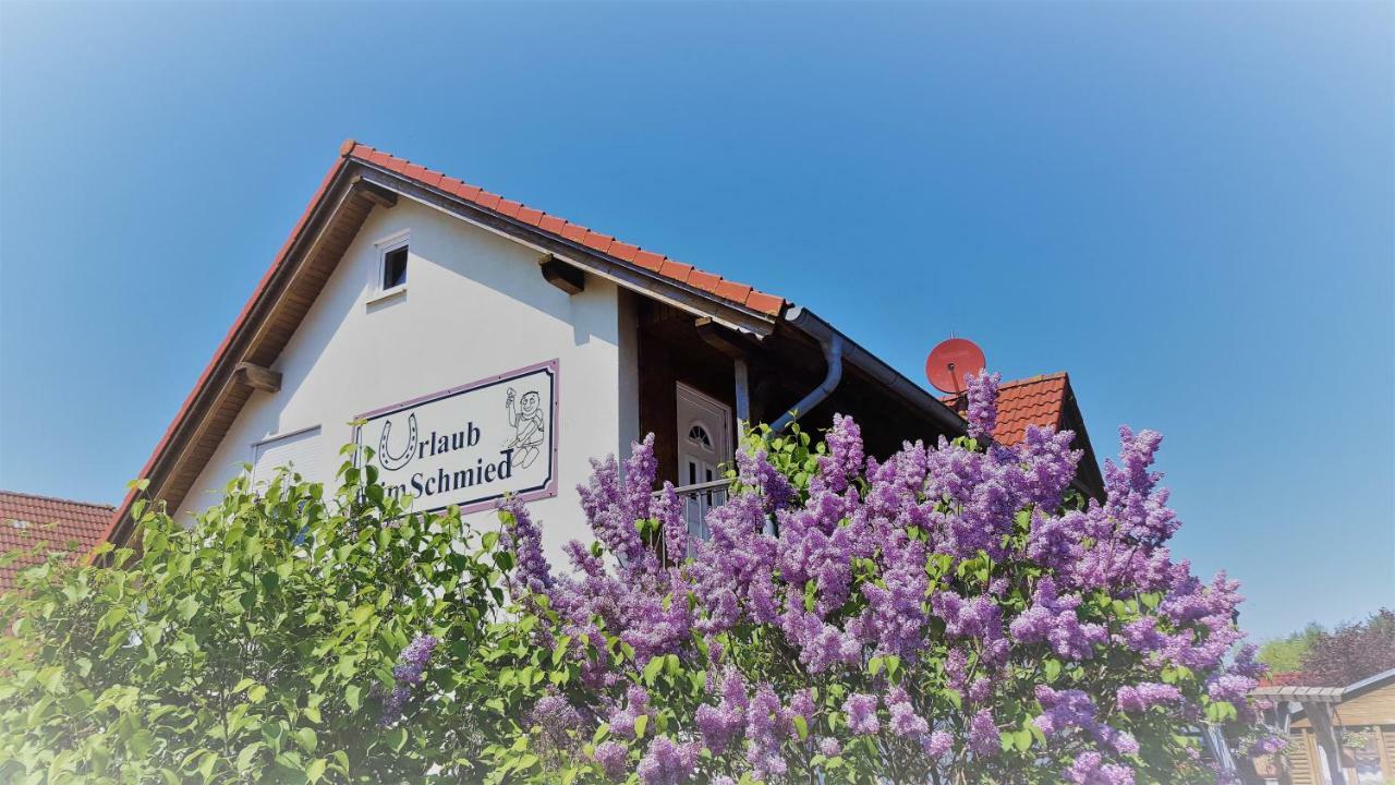 Urlaub Beim Schmied Lejlighed Ostseebad Kühlungsborn Eksteriør billede
