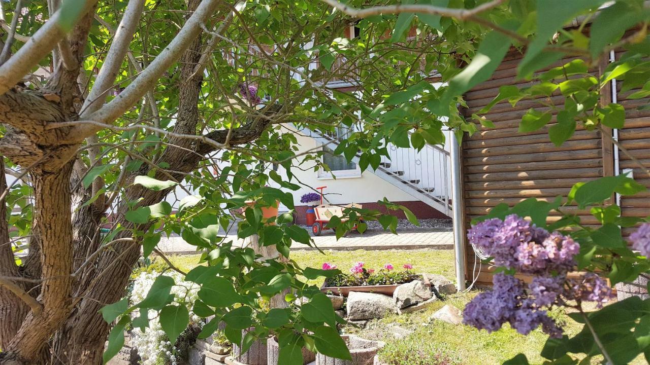 Urlaub Beim Schmied Lejlighed Ostseebad Kühlungsborn Eksteriør billede